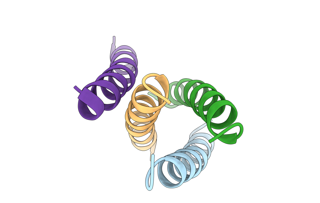 4DAC image