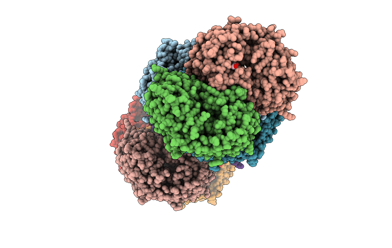 4DAL image