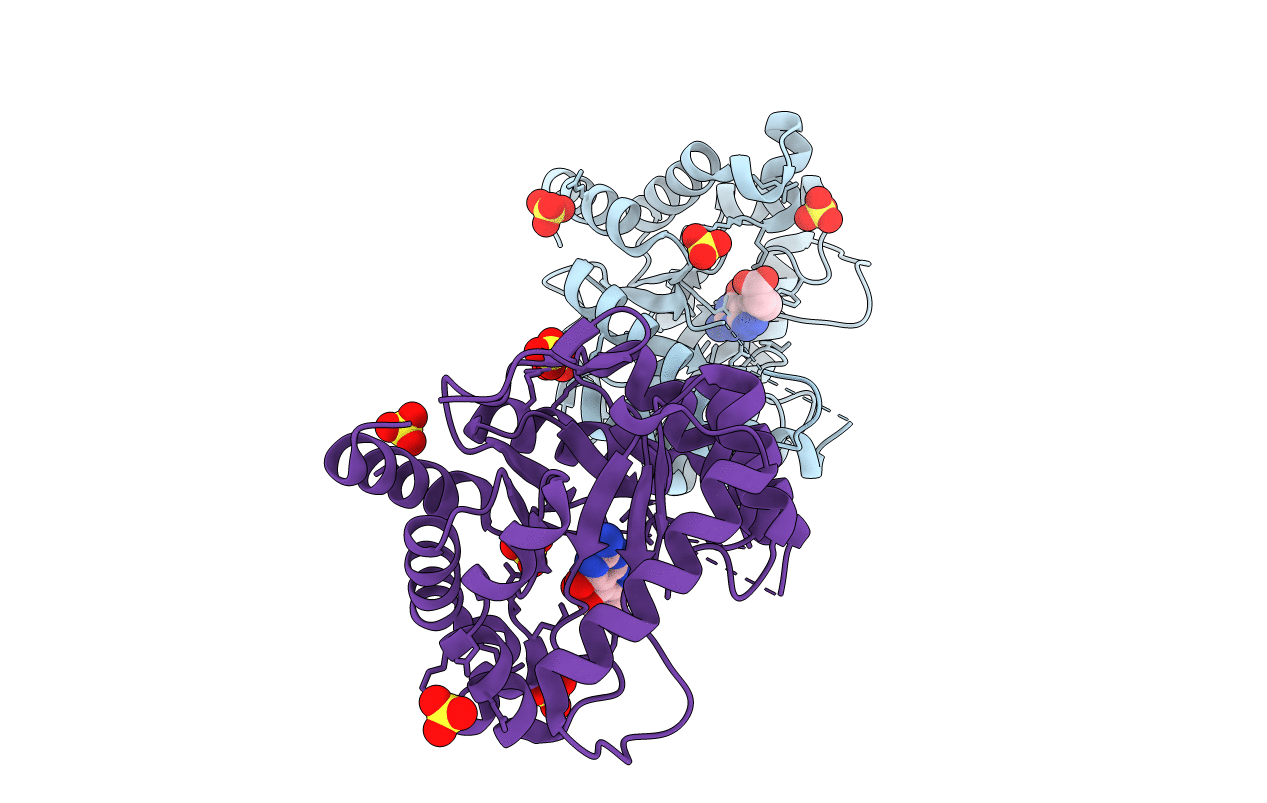 4DB7 image