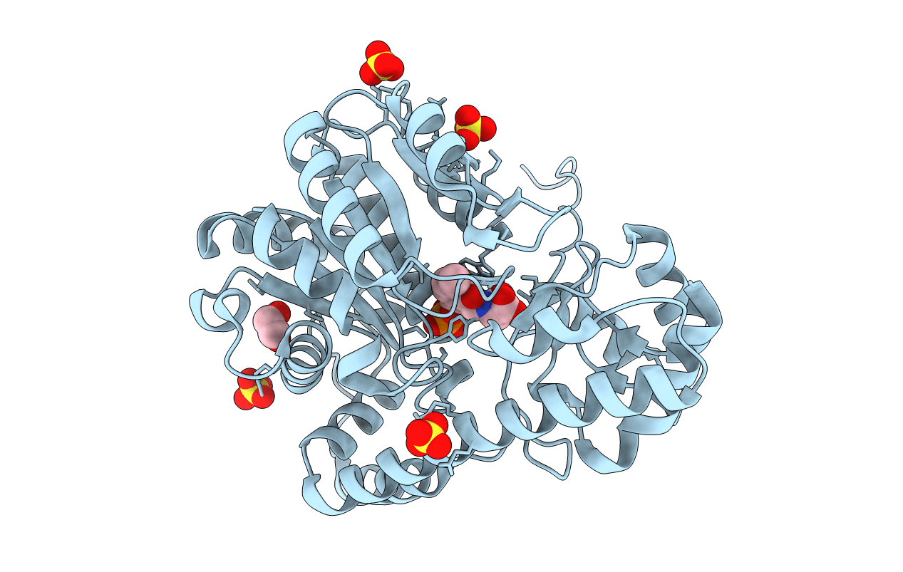 4DBC image