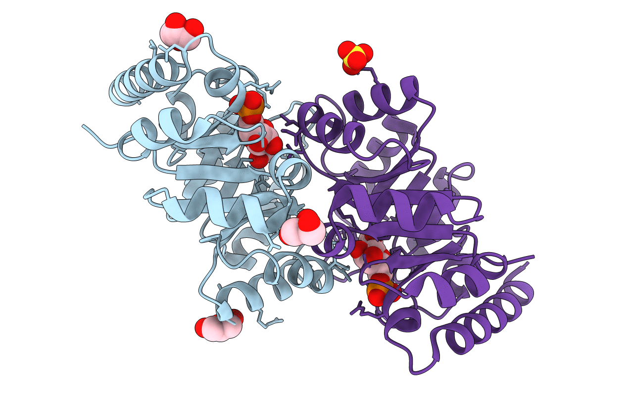 4DBE image