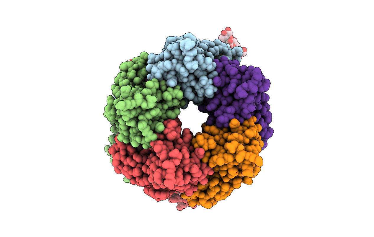 4DBM image