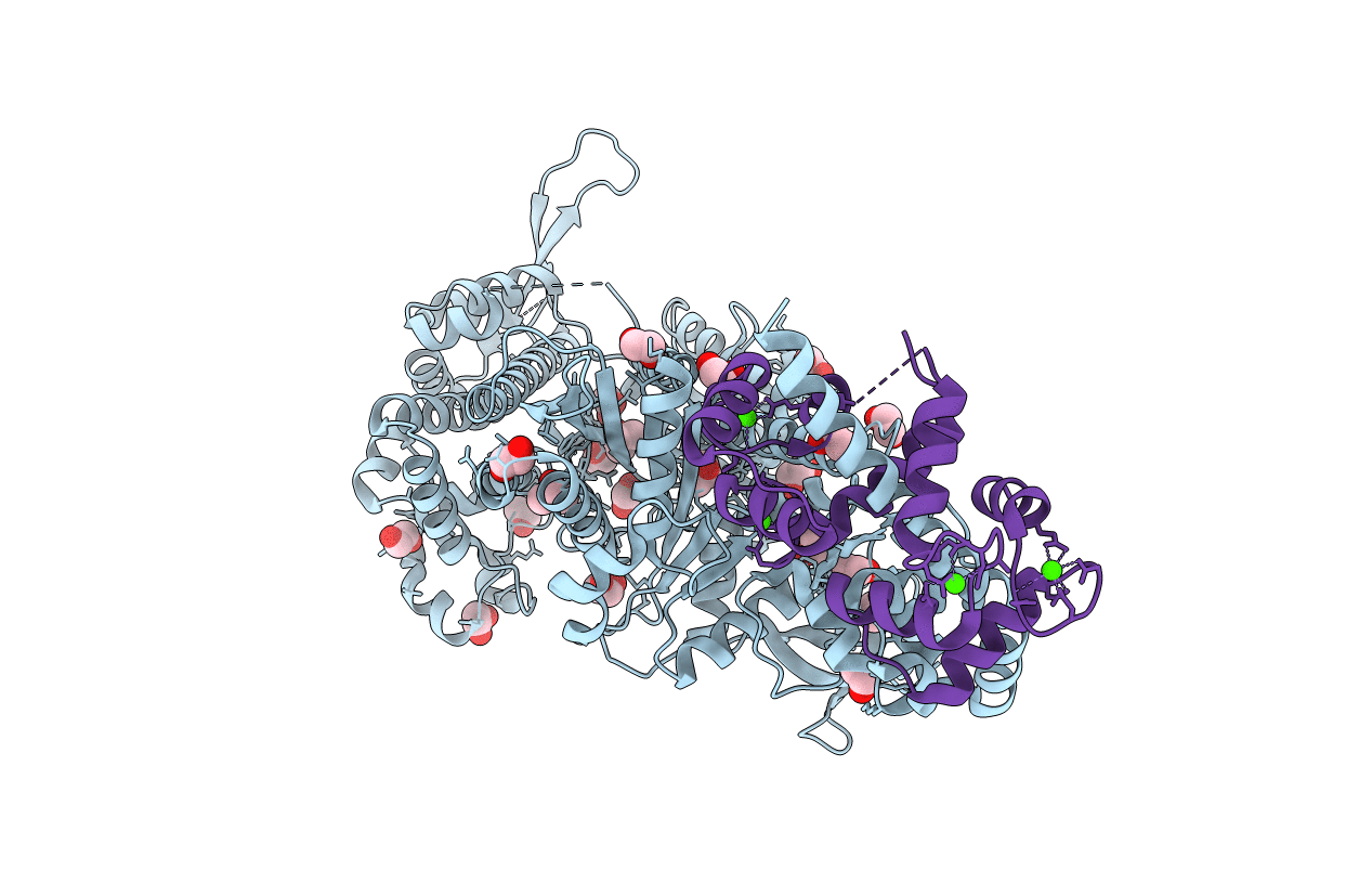 4DBP image