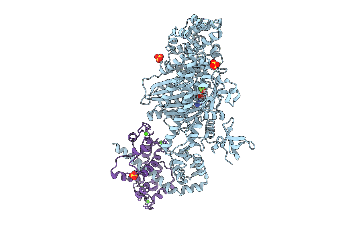 4DBQ image