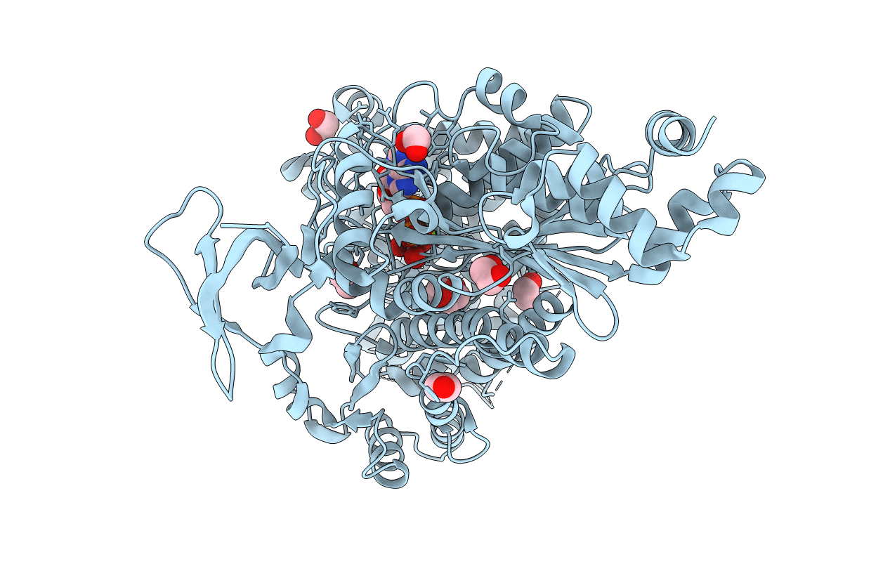 4DBR image