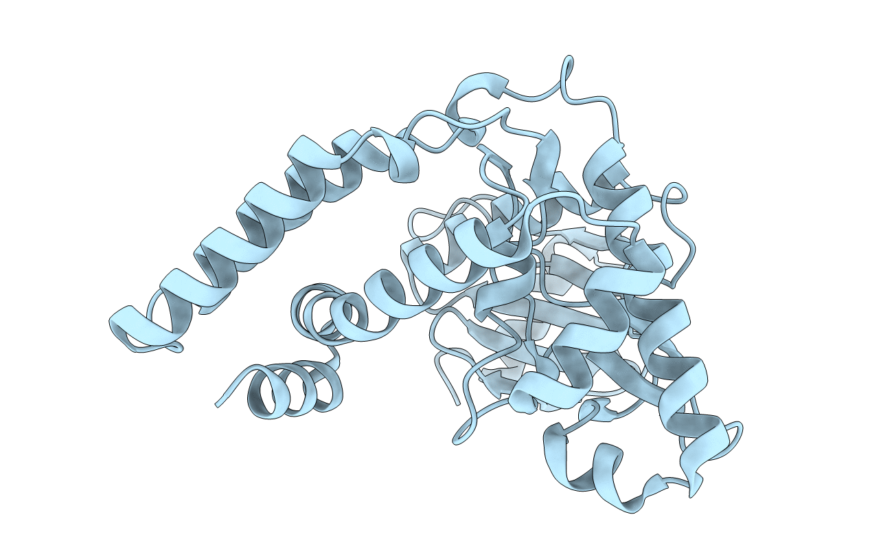 4DBX image