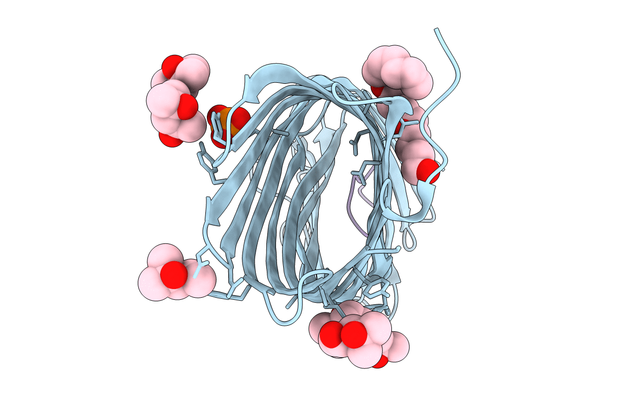 4DCB image