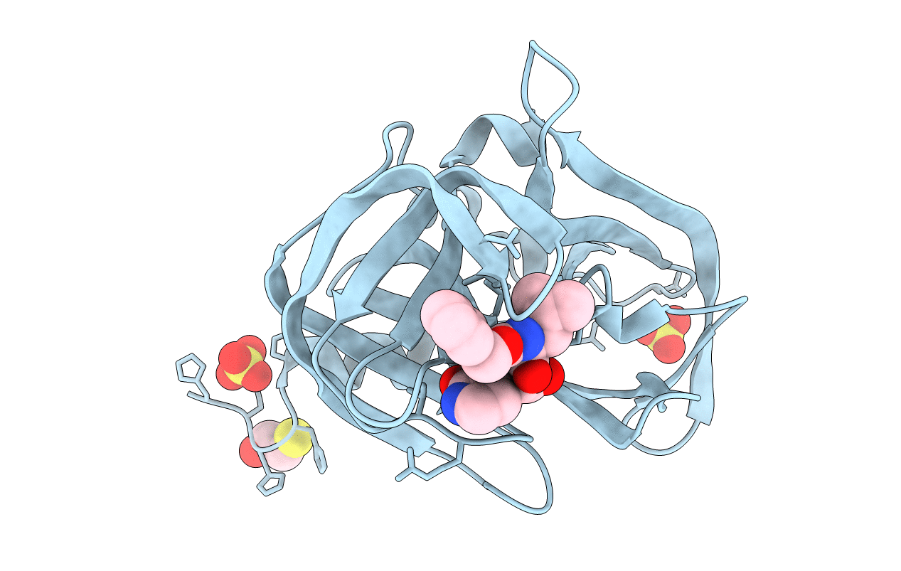 4DCD image