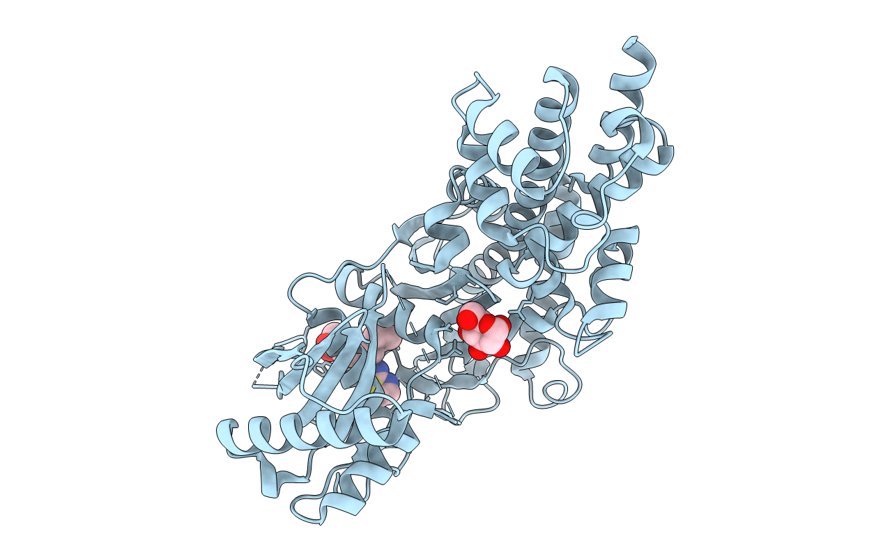 4DCH image