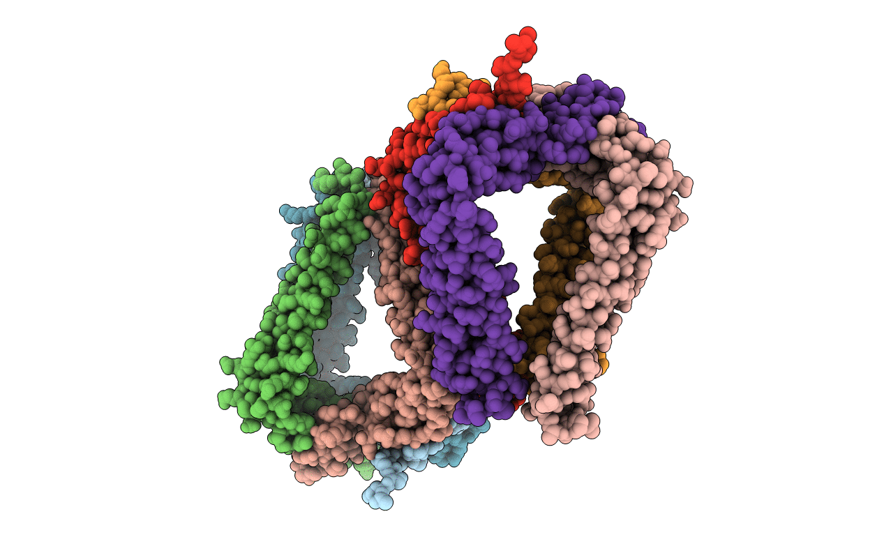 4DCI image