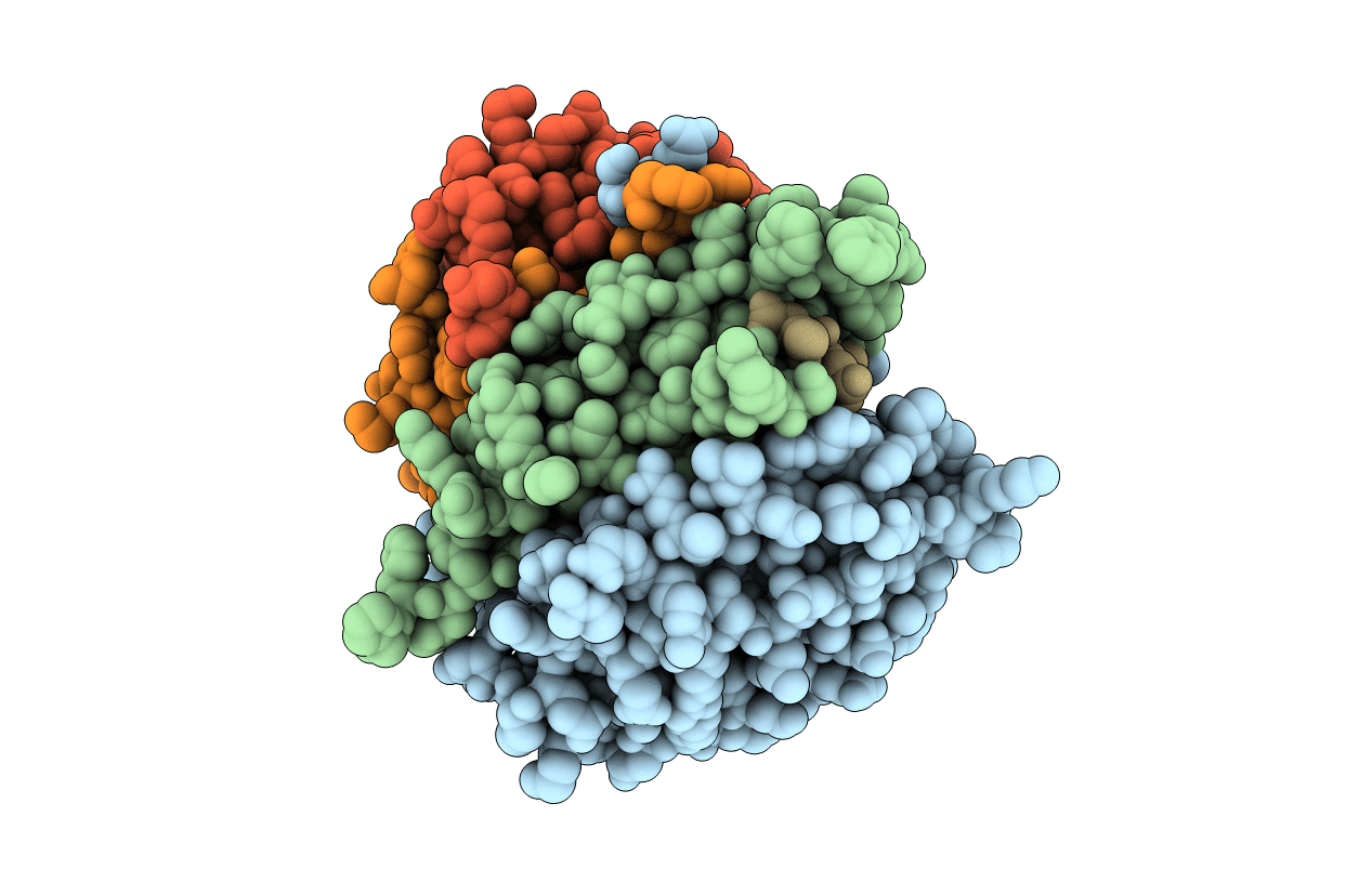4DCO image