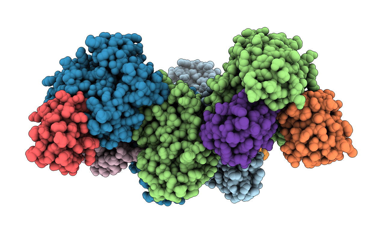 4DDI image