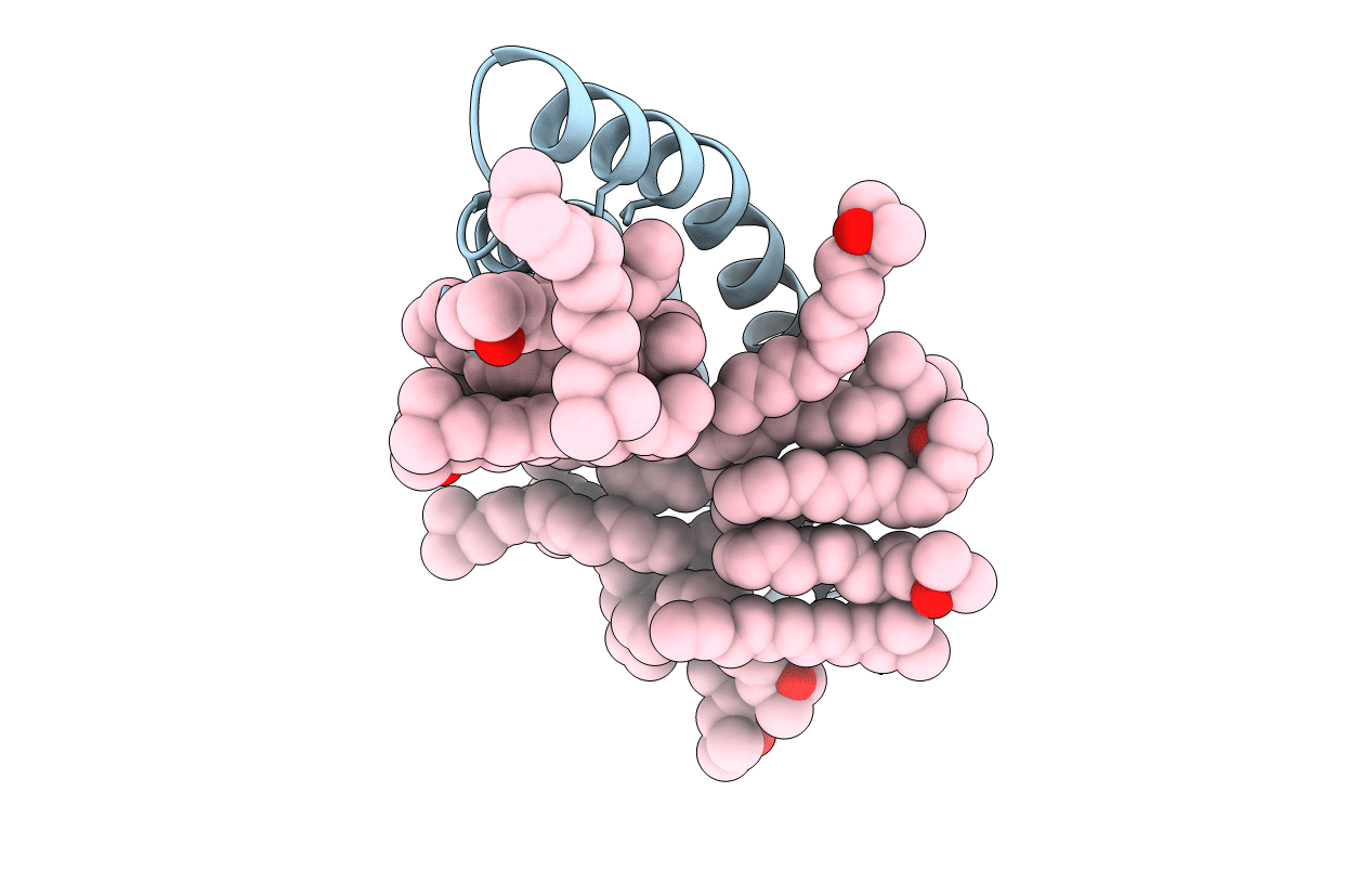 4DDJ image
