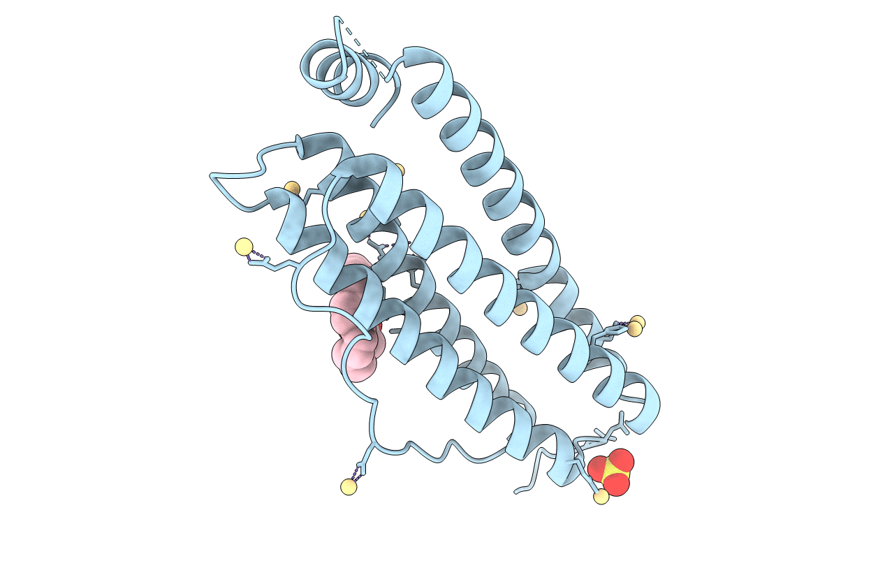 4DE6 image