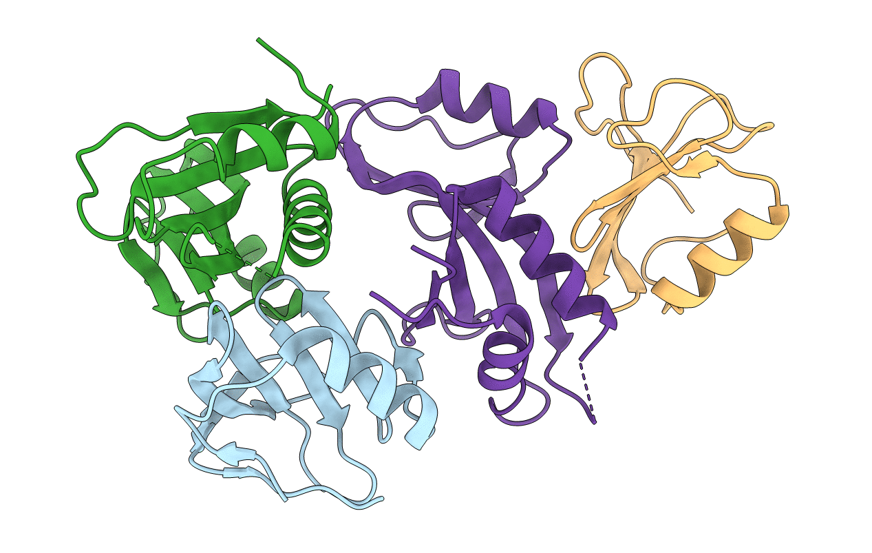 4DFC image