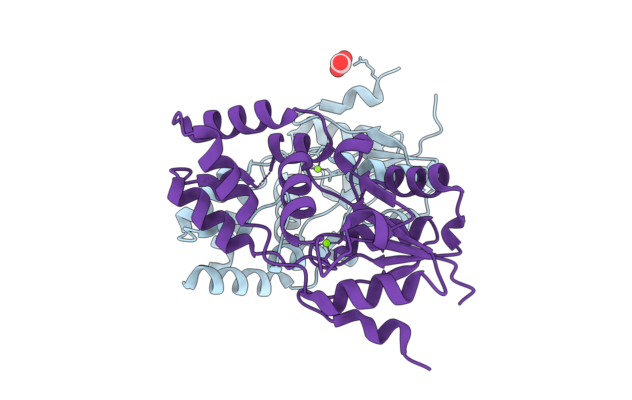 4DFD image
