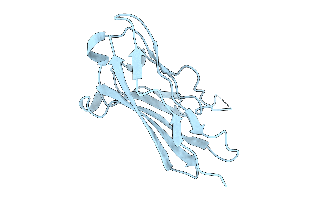 4DFI image