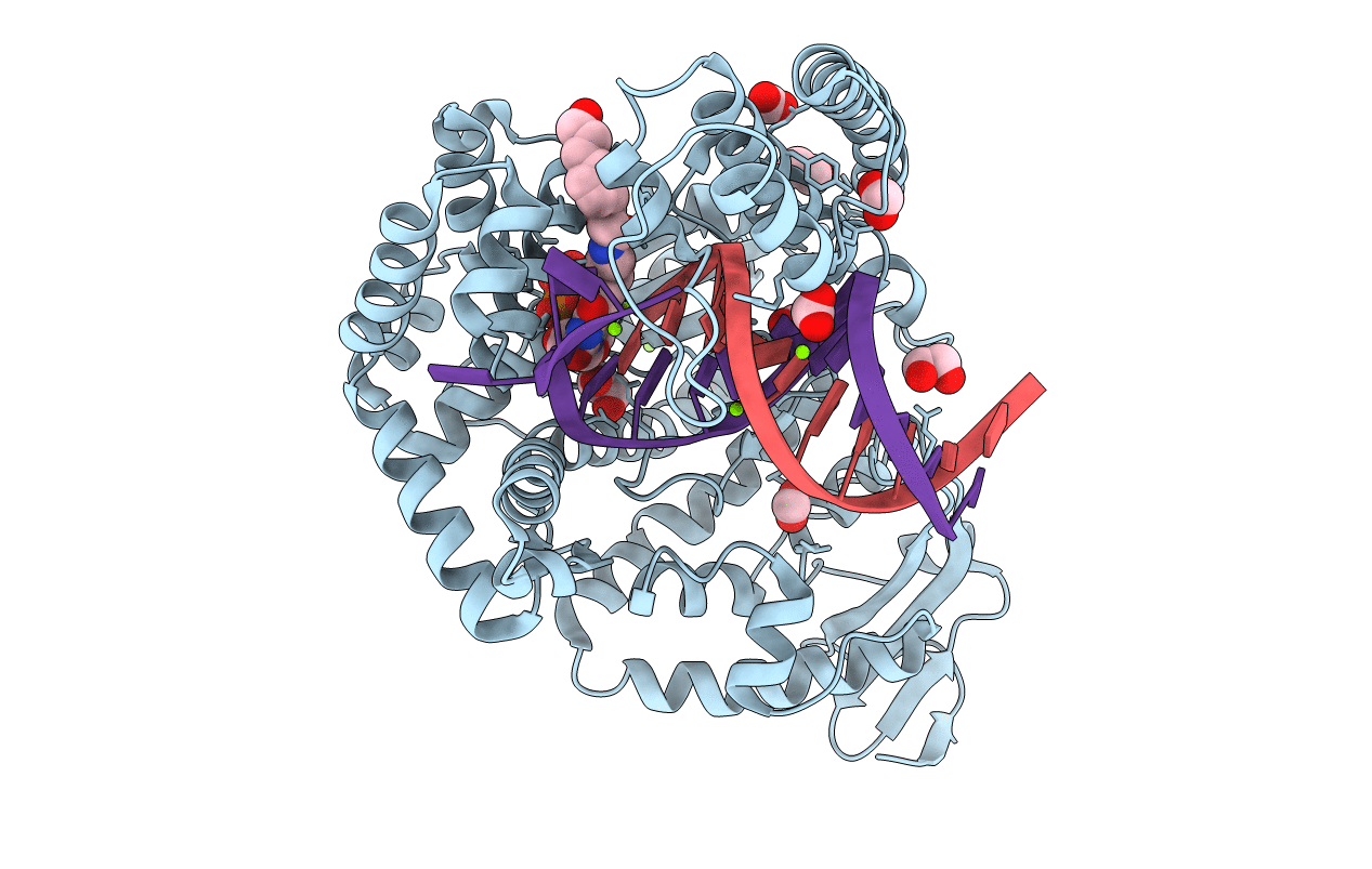 4DFK image