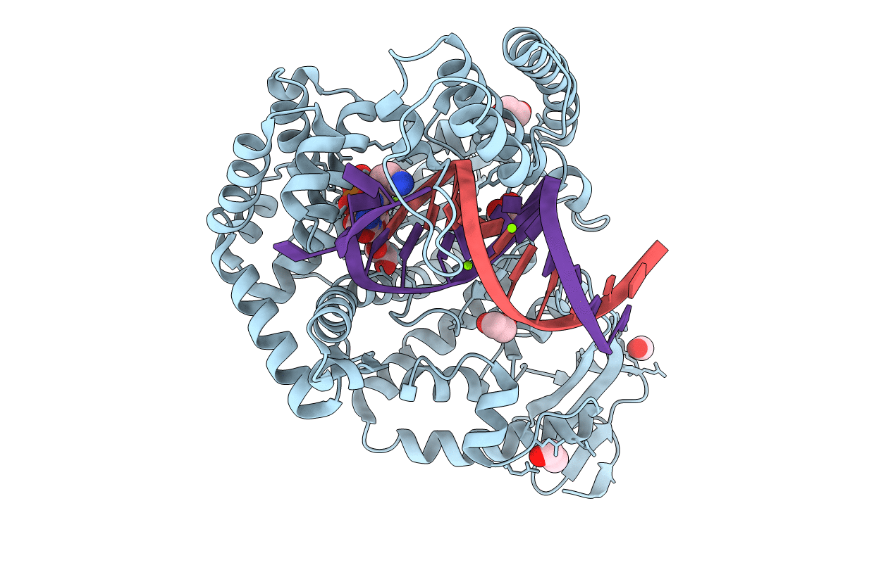 4DFM image