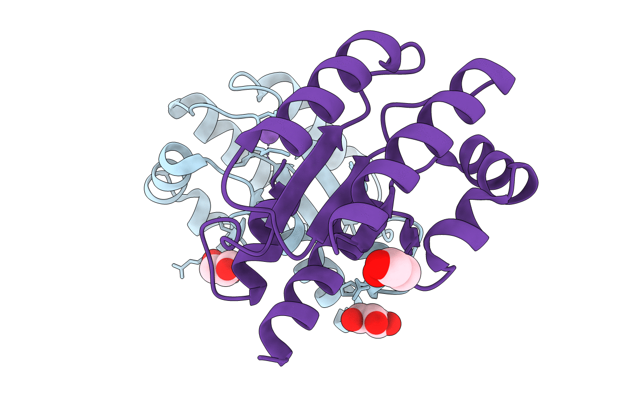 4DGH image
