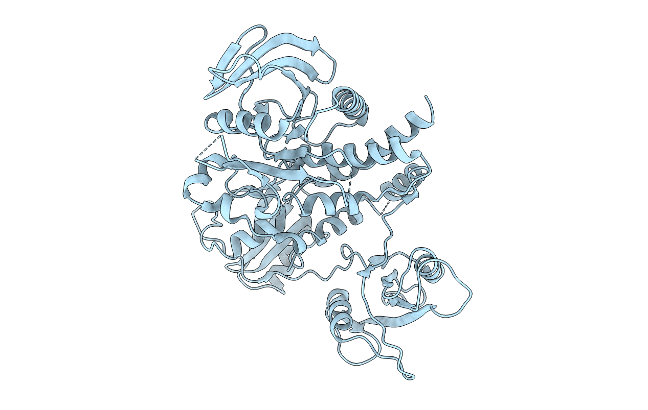 4DGP image