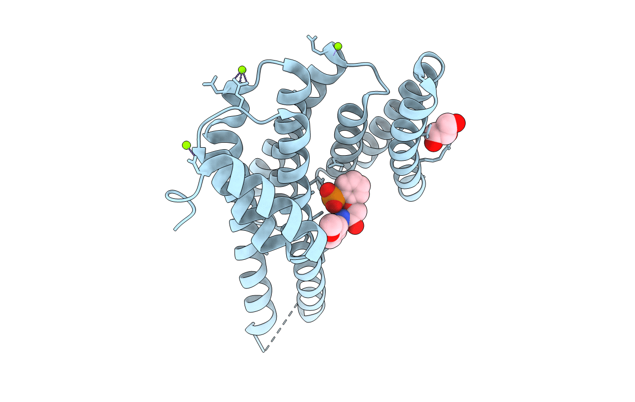 4DHO image