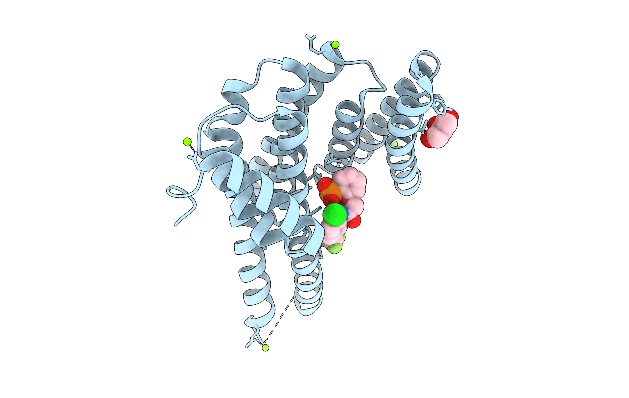 4DHP image