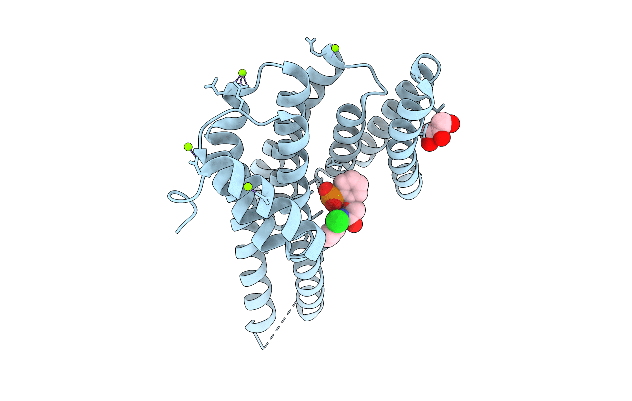 4DHR image