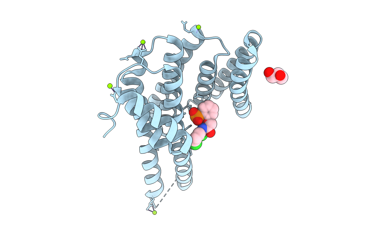 4DHU image