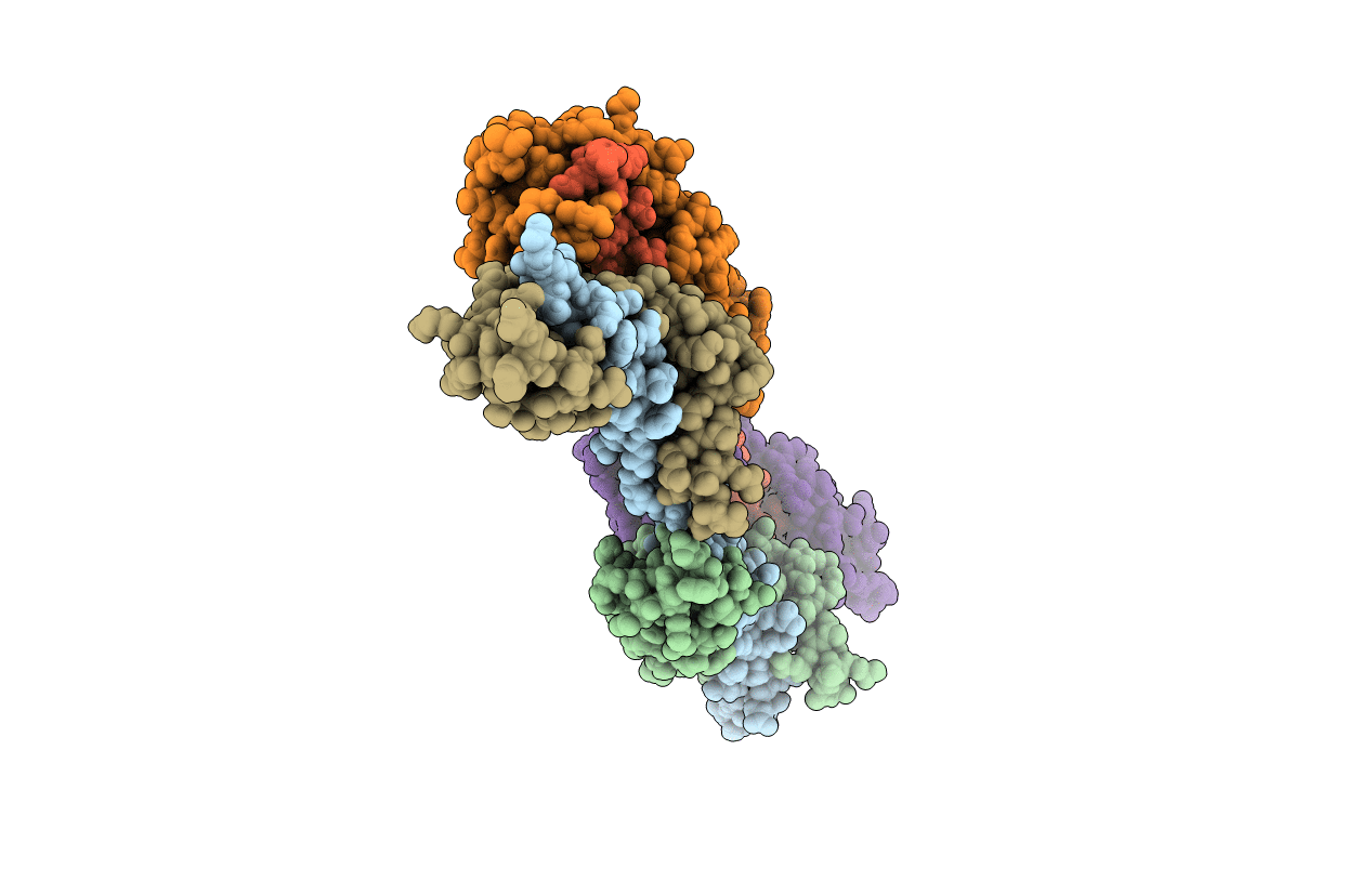 4DHX image