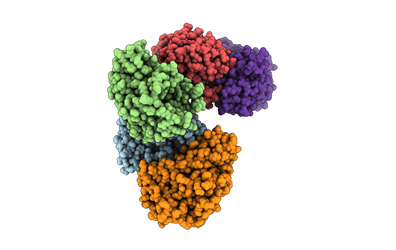 4DI3 image