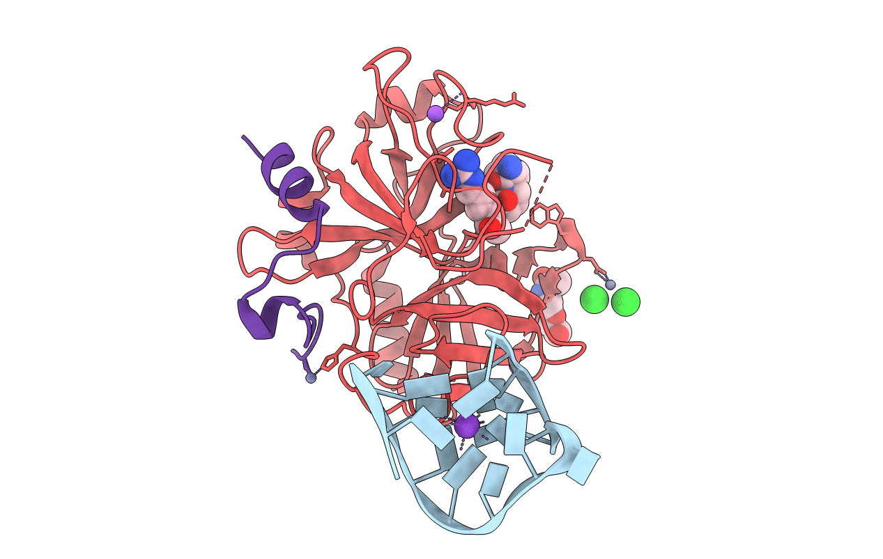 4DII image