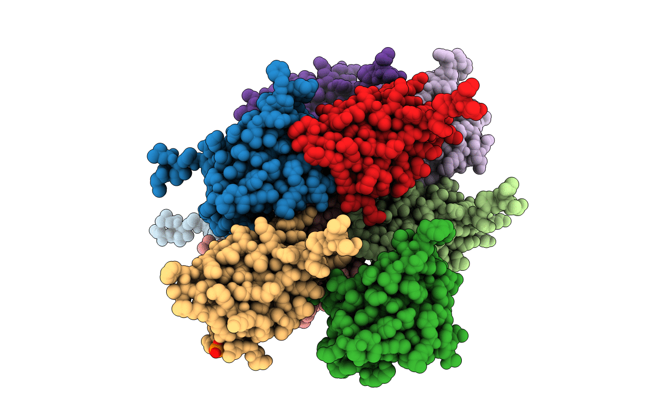 4DIP image