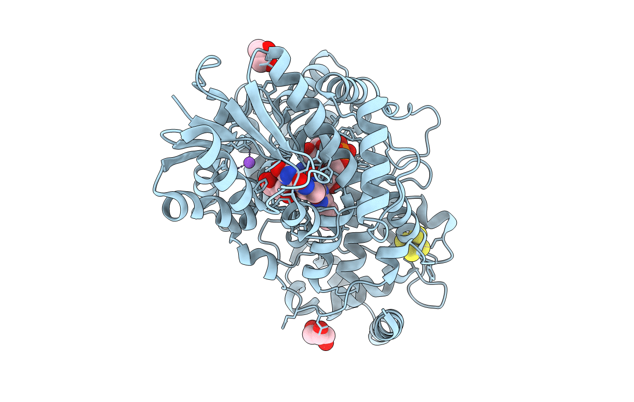 4DJA image