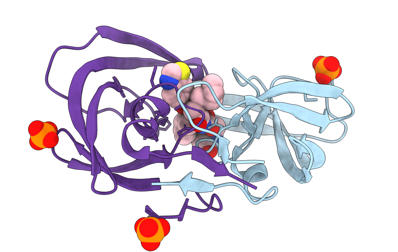4DJR image