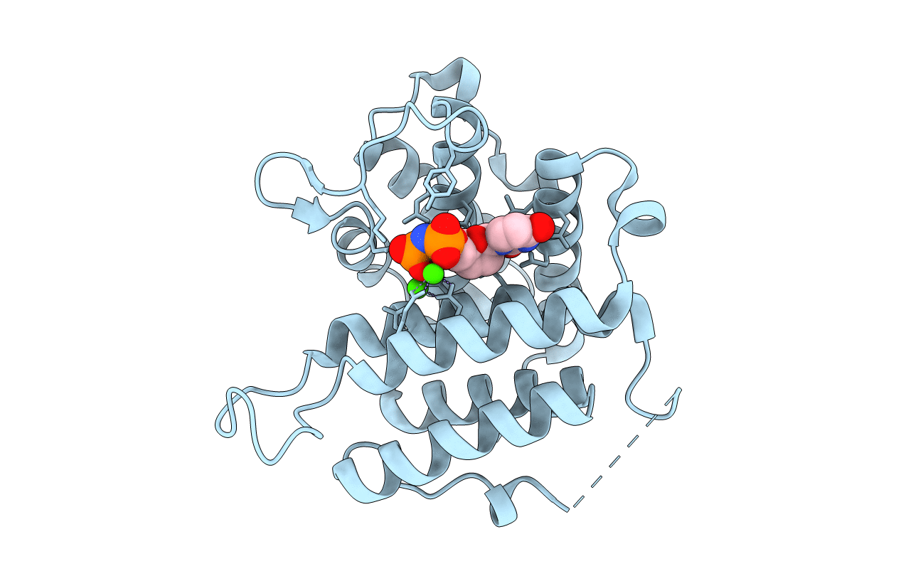 4DKB image