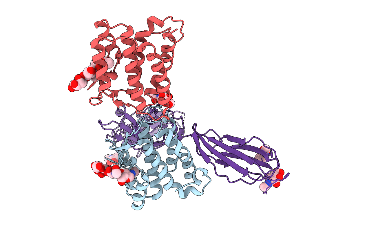 4DKD image