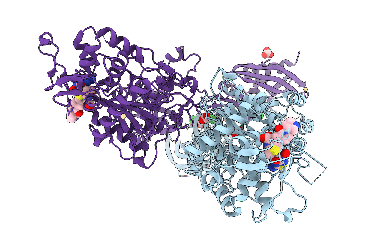 4DKI image