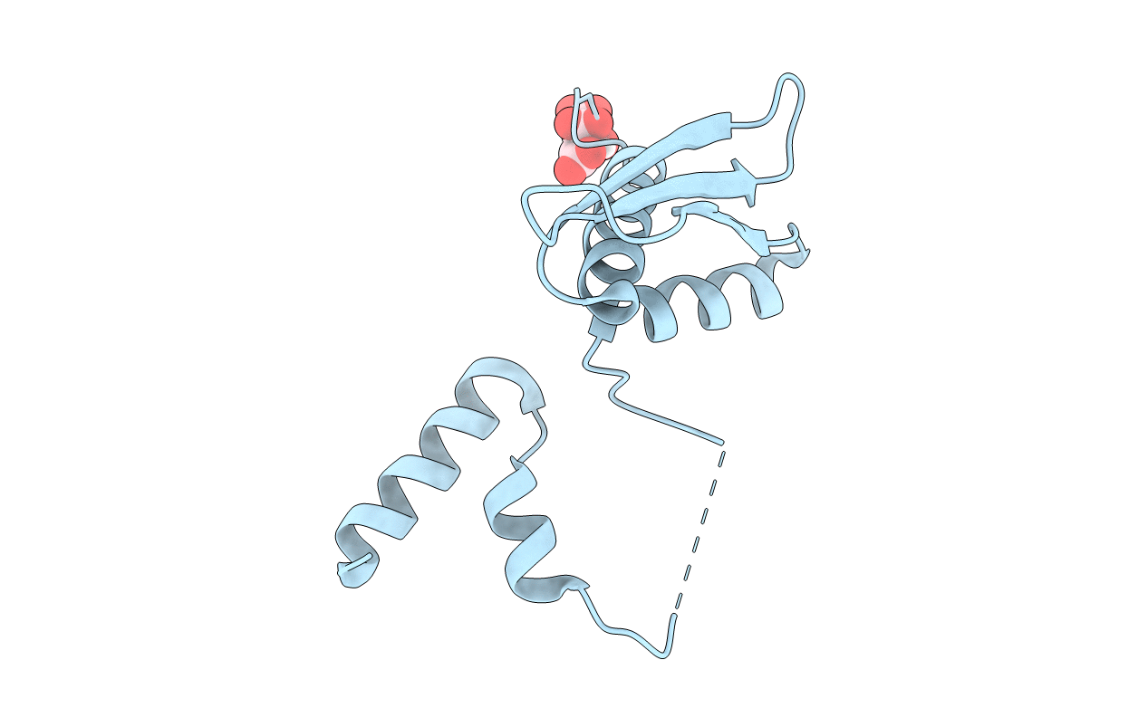 4DKK image