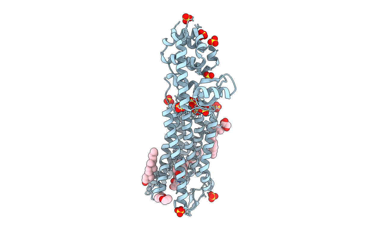 4DKL image