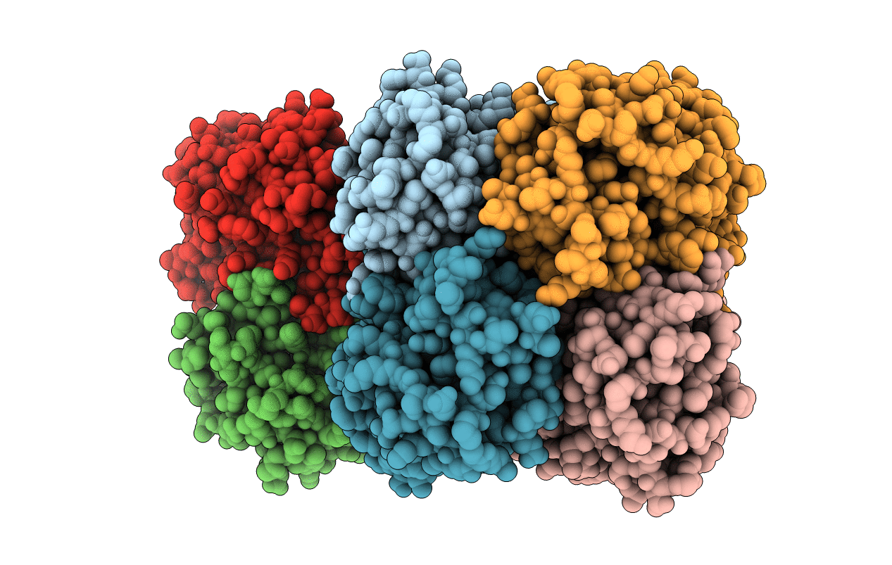 4DKM image