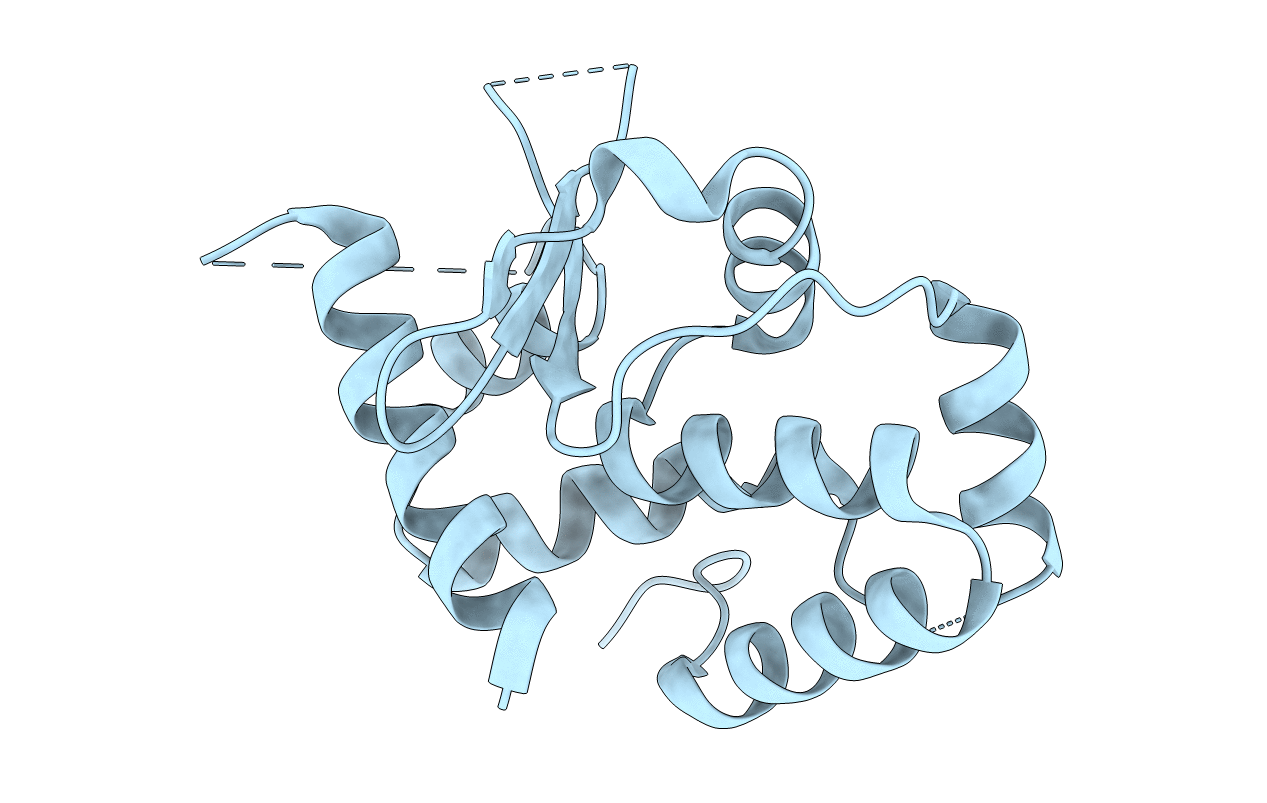 4DKS image