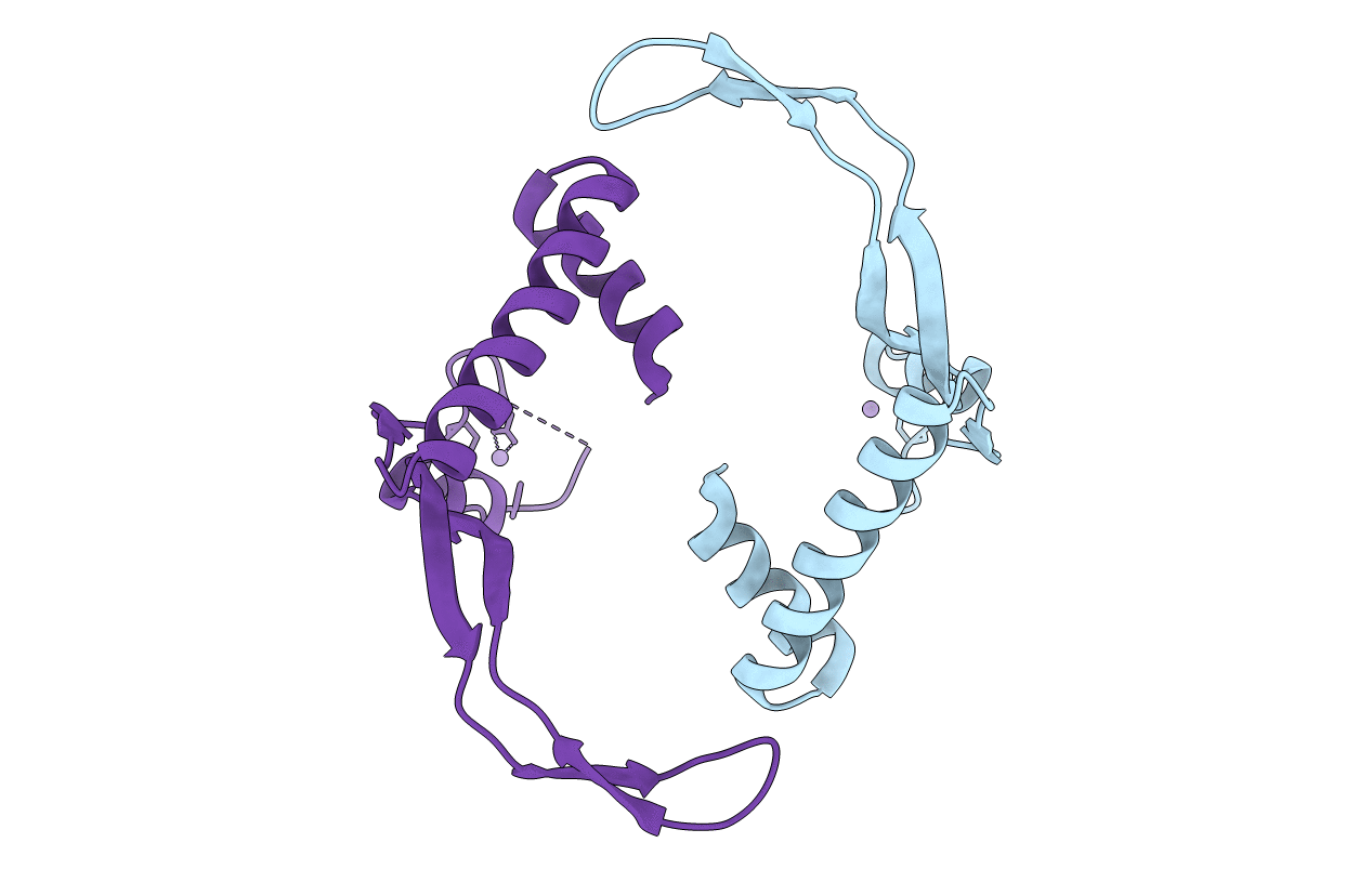 4DKY image