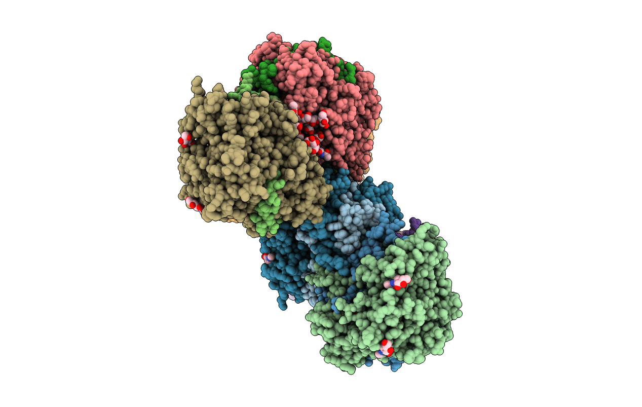 4DL1 image