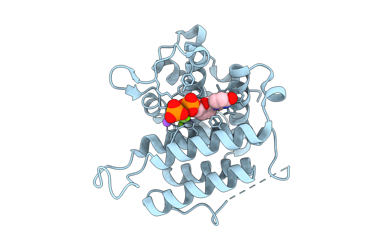 4DL8 image