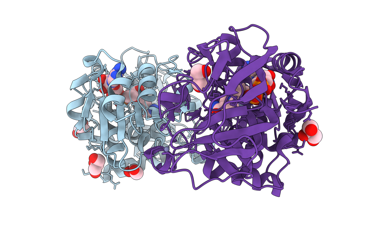 4DLB image