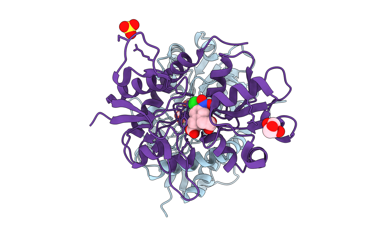 4DLD image