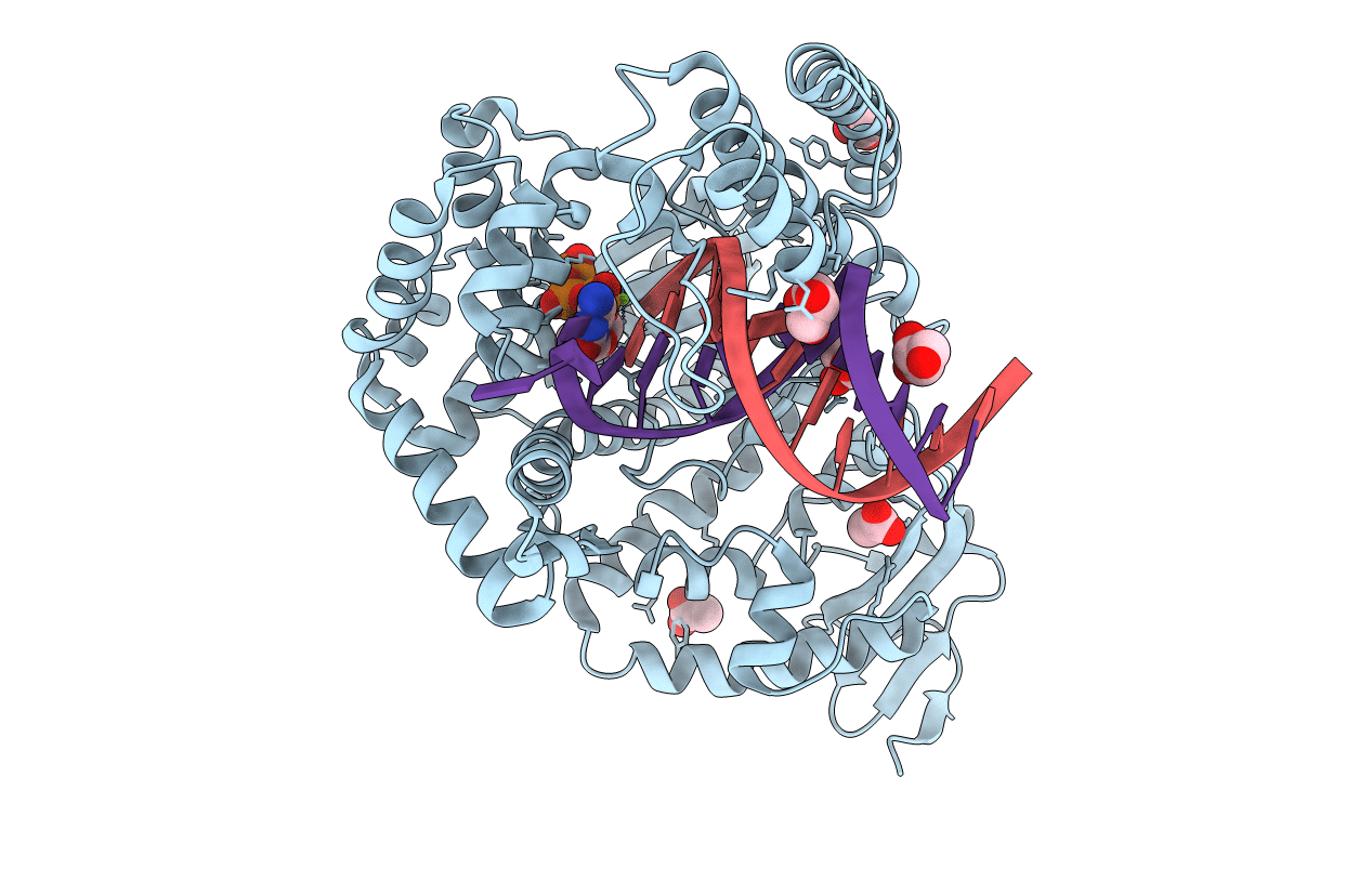 4DLG image