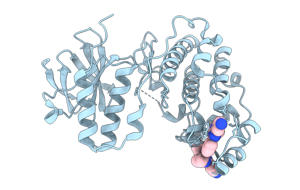 4DLI image