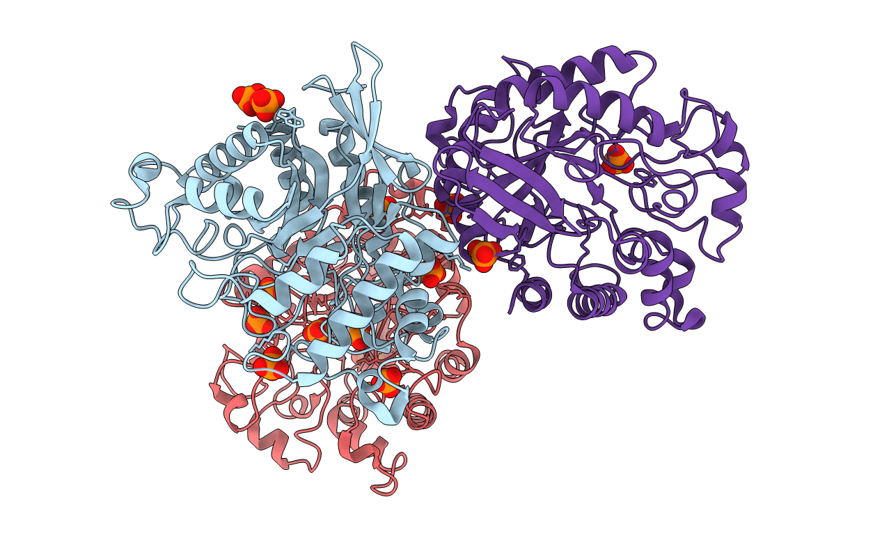 4DM1 image